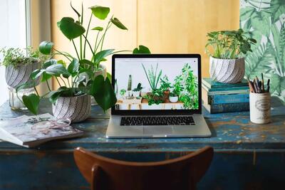 کدام گل و گیاه برای شغل شما مناسب است؟