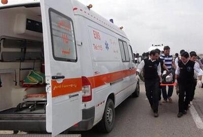 انحراف مینی‌بوس از جاده ۱۴ مصدوم برجای گذاشت