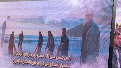 جشن ملی بهره‌برداری از ذخایر ماهیان استخوانی در سرخرود برگزار شد