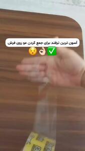 جمع کردم مو از فرش