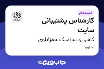 استخدام کارشناس پشتیبانی سایت - خانم در کاشی و سرامیک حمزانلوی