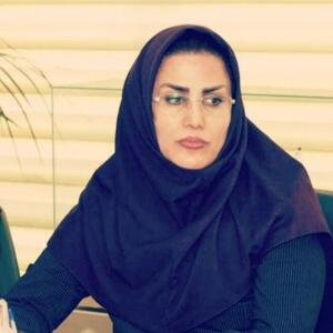 شکل‌گیری پارادایمی تازه در تفکر توسعه کشور
