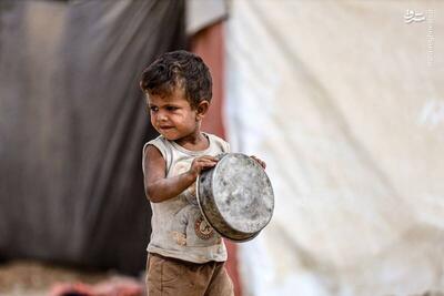 فلسطین یا اسرائیل؛ کدام پیروز شد؟