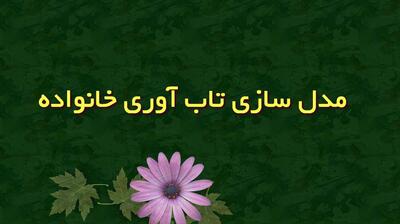 میگنا - مدل‌سازی تاب‌آوری خانواده چیست و چرا اهمیت دارد؟