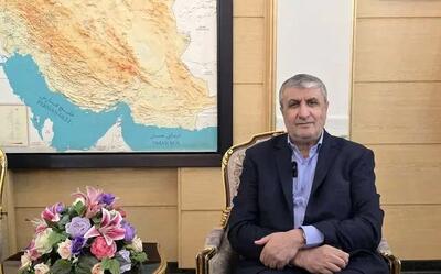 معاون بین‌الملل شرکت دولتی «روس‌اتم» با اسلامی دیدار کرد