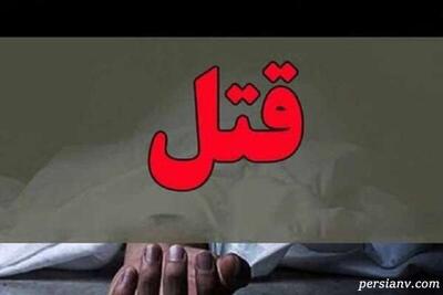 راز جنایت خانوادگی در برج لاکچری / دختر مقتول، ادعای آزار را رد کرد و انگشت اتهام را به سوی اعتیاد و طمع مالی برادرش نشانه رفت