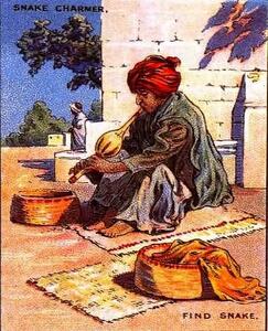 بازی فکری: این آزمون صد ساله را حل کنید هیچوقت آلزایمر نمی گیری! مار پنهان را در 5 ثانیه پیدا کنید!