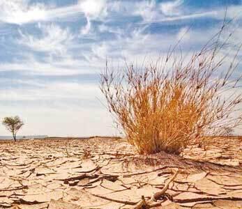 بیش از ۳ میلیارد نفر در جهان تحت تاثیر خشکسالی