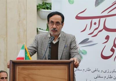 اصلی‌ترین مأموریت وزارت جهاد کشاورزی ارتقاء راندمان آبیاری است - تسنیم