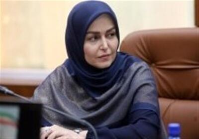 تدوین منشور اخلاقی فعالان گردشگری در جزیره کیش - تسنیم