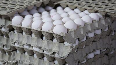 ماجرای نوسانات بازار تخم مرغ چیست؟