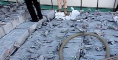 انهدام باند وارد کننده کالای ممنوعه در بندرلنگه