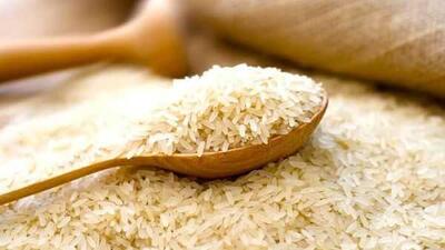 برنج گران‌تر از همیشه! | قیمت‌ها در بازار ترمز برید+ آخرین نرخ‌ها و پیش‌بینی تغییرات آینده