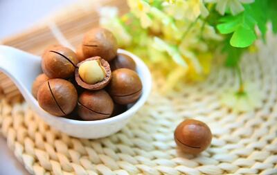 خواص ماکادمیا یا فندق استرالیایی+ نکات ضروری که باید بدانید