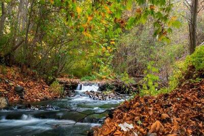 روستای ییلاقی جاغرق: بهشت سبز و تاریخی مشهد