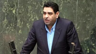 گلایه یک نماینده مجلس درباره حذف یارانه ها/ ای‌کاش وزارت تعاون حذف یارانه ۳ دهک بالا را یک سال به تعویق می‌انداخت