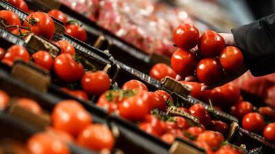 آغاز صادرات گوجه‌فرنگی و پیاز به بازارهای عراق