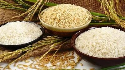 قیمت روز انواع برنج وارداتی مهر ۱۴۰۴ / برنج درجه یک خارجی با چه قیمتی عرضه می‌شود؟