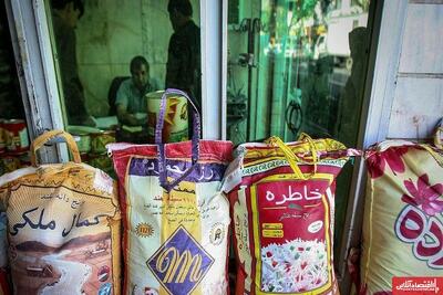 افزایش چشمگیر قیمت برنج خارجی در مهر ۱۴۰۴ / قیمت برنج هندی و پاکستانی چقدر شد؟