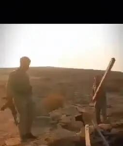 ببینید| ضربه محکم به شکارچیان پرندگان شکاری در هرمزگان
