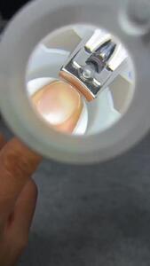  مقایسه‌ای شگفت‌انگیز درختان سکویا با قد انسان + عکس