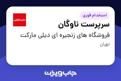 استخدام سرپرست ناوگان در فروشگاه های زنجیره ای دیلی مارکت