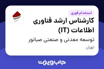 استخدام کارشناس ارشد فناوری اطلاعات (IT) در توسعه معدنی و صنعتی صبانور
