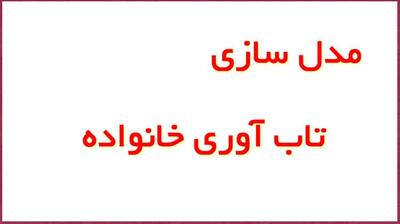 میگنا - اهمیت مدل سازی تاب آوری خانواده