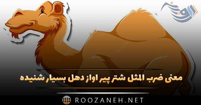 معنی ضرب المثل شتر پیر آواز دهل بسیار شنیده (حکایت و تفسیر)
