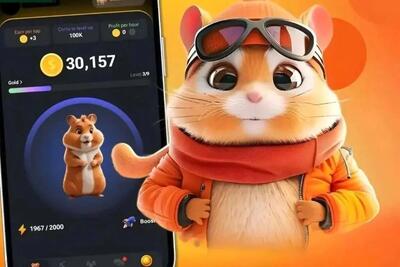 همستر کامبت بزرگ‌ترین کلاهبرداری تاریخ ایردراپ‌ها؛ نفر اول چقدر پول عایدش شد؟