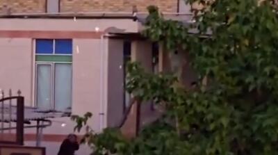 تصاویر تبادل آتش خانوادگی با کلاشنیکف در کرمانشاه