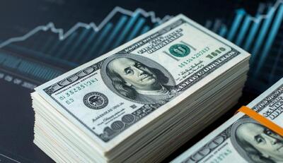 جزئیات جدید از عدم بازگشت ۹۵ میلیارد دلار ارز صادراتی