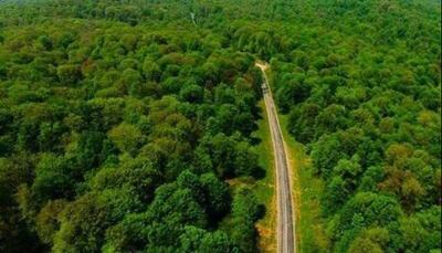 جنگل‌خواری در کلاردشت مازندران به روایت تصویر