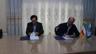 فعالیت‌های علمی ، پژوهشی در شرکت کشت و صنعت مغان کلید خورد