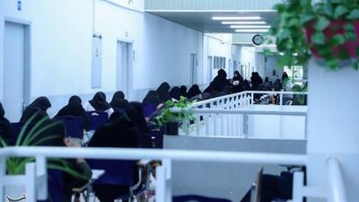 نتایج نهایی کنکور سراسری سال 1404 اعلام شد