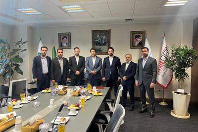 محمدجواد احمدی مدیرعامل فولاد غدیر نی‌ریز شد
