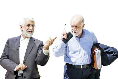 پاسخ زنگنه به جلیلی: «کرسنت» عملکرد سیاه شما را تمیز نمی‌کند