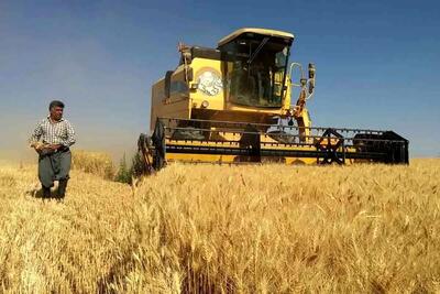 5 خبر خوب دولت زیر سوال رفت/ پرداخت مطالبات گندم کاران، لطف دولت به آنهاست؟