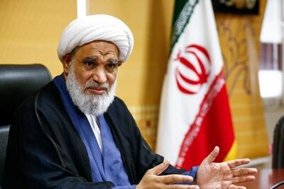 عضو مجلس خبرگان: برابر جایزه صلح نوبل، جایزه جهانی شهید نصرالله شکل بگیرد