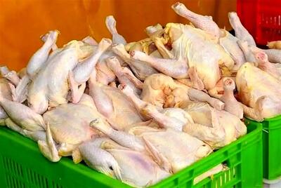 قیمت مرغ امروز ۱۹ مهر ۱۴۰۴؛ نرخ انواع در بازار اعلام شد