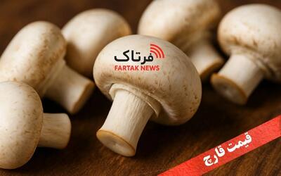 قیمت قارچ ۱۹ مهر ۱۴۰۴؛ نرخ لحظه‌ای + تحلیل داغ بازار!