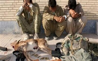 دستگیری ۳ شکارچی متخلف در پارک سرخه‌حصار