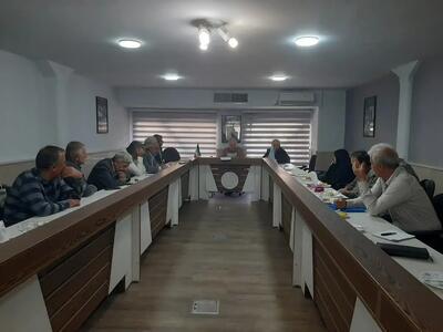استیضاح وزیر کار «سیاسی» است/ مشکلات بازنشستگان با بیمه تکمیلی