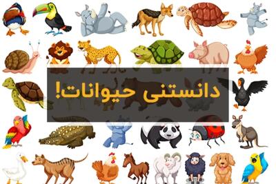 ۱۰ واقعیت باورنکردنی درباره‌ی حیوانات که ذهن شما را شگفت‌زده می‌کند!