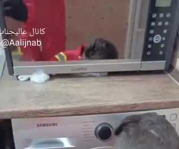 گیر کردن بچه در ماشین لباس‌شویی