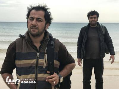 آنتن شبکه نمایش این هفته عطر «شیراز» به‌خود می‌گیرد | مجموعه رسانه ای صبا