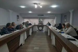 استیضاح وزیر کار «سیاسی» است/ مشکلات بازنشستگان با بیمه تکمیلی