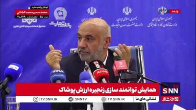 میدری: نرخ تامین مالی با اجرای طرح صندوق ضمانت نصف می‌شود / آمار و سرشماری از شاغلین مشاغل خانگی نداریم