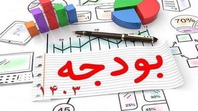 تهیه سطح دوم گزارش تفریغ بودجه سال 1403 در دو بخش «جداول بودجه» و «تفریغ موضوعی» در دستور کار هیات عمومی دیوان محاسبات