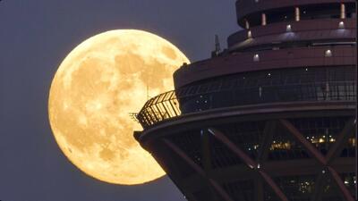  مقارنه ماه و میلاد